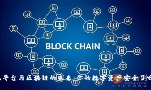 悦平台与区块链的未来：你的数字资产安全了吗？