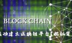 为什么国外能成功建立区块链平台？揭秘背后的