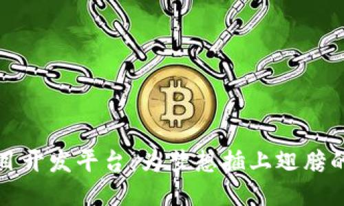 区块链项目开发平台：为梦想插上翅膀的科技时代