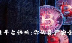 揭秘区块链平台快照：你的资产安全有保障吗？