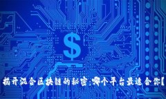 揭开混合区块链的秘密：哪个平台最适合你？