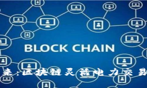 颠覆传统电力交易的未来：区块链灵活电力交易平台带来的机遇与挑战