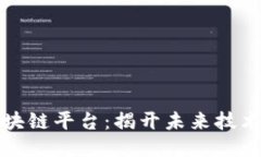 三星定制区块链平台：揭开未来技术的神秘面纱