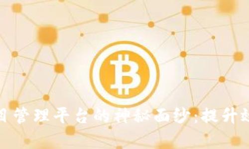 揭开区块链互联网项目管理平台的神秘面纱：提升效率与信任的未来之路