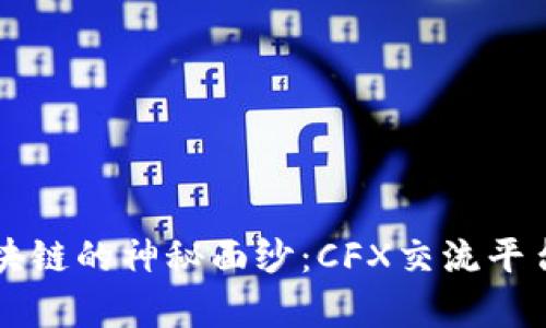 揭开上海区块链的神秘面纱：CFX交流平台的真实魅力