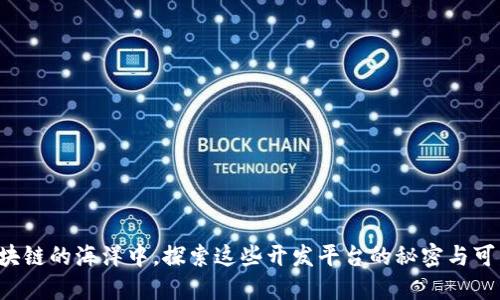 在区块链的海洋中，探索这些开发平台的秘密与可能性!