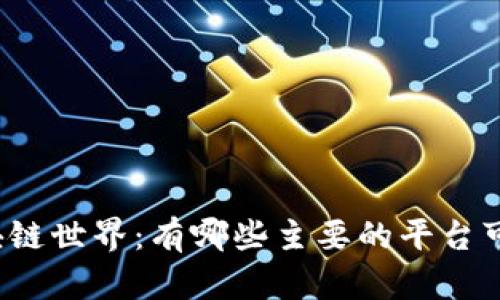 揭秘区块链世界：有哪些主要的平台可以选择？