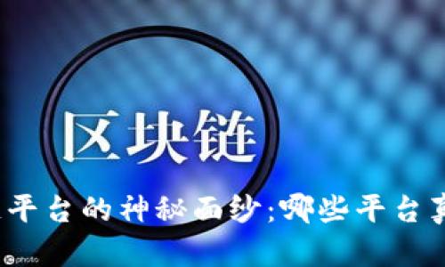揭开区块链平台的神秘面纱：哪些平台真正做得好？