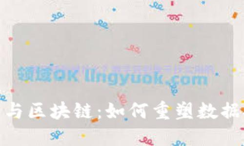 数据管理平台与区块链：如何重塑数据安全与透明性