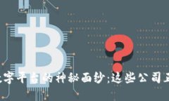 揭开区块链数字平台的神秘面纱：这些公司正在