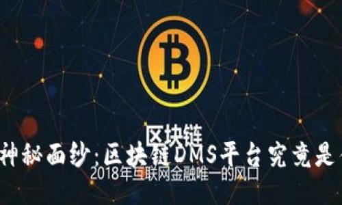 揭开神秘面纱：区块链DMS平台究竟是什么？