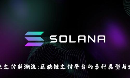 探寻未来支付新潮流：区块链支付平台的多种类型与发展前景