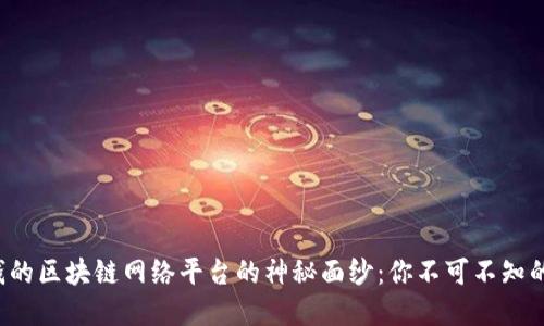 揭开最赚钱的区块链网络平台的神秘面纱：你不可不知的投资机会！
