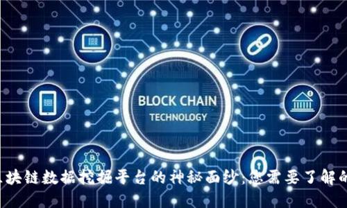 揭开区块链数据挖掘平台的神秘面纱：您需要了解的一切！