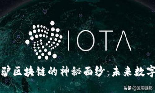 揭开平台小毛驴区块链的神秘面纱：未来数字经济的新希望