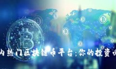 揭秘国内热门区块链币平台：你的投资必看指南