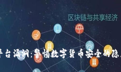 区块链平台漏洞：警惕数字货币安全的隐患与对策