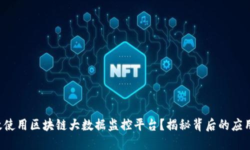 如何高效使用区块链大数据监控平台？揭秘背后的应用与价值！