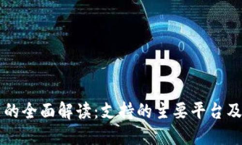 区块链技术的全面解读：支持的主要平台及其潜力探索