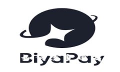 区块链技术如何改变电商平台的未来