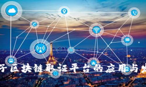 电子区块链取证平台的应用与发展