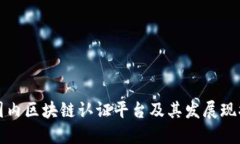 国内区块链认证平台及其发展现状