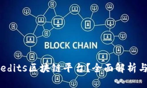 什么是Credits区块链平台？全面解析与应用示例