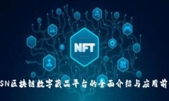 BSN区块链数字藏品平台的全面介绍与应用前景