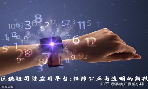 : 区块链司法应用平台：保障公正与透明的新技术