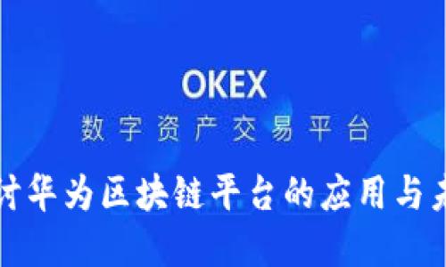 深入探讨华为区块链平台的应用与未来发展