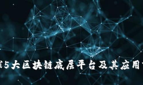 全球5大区块链底层平台及其应用前景