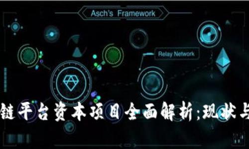 区块链平台资本项目全面解析：现状与未来