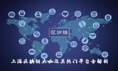 上海区块链大咖及其热门平台全解析