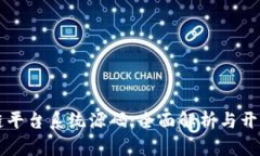 区块链平台系统源码：全面解析与开发指南