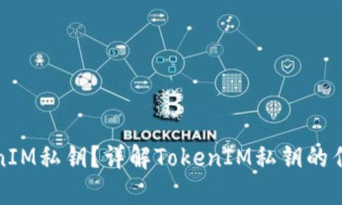 什么是TokenIM私钥？详解TokenIM私钥的作用与安全性