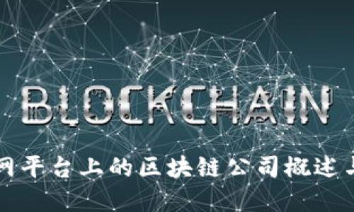 中国互联网平台上的区块链公司概述与发展趋势